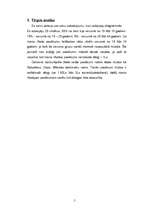 Biznesa plāns 'Pasākums 100.vidusskolā', 5.