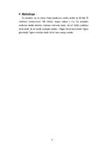 Biznesa plāns 'Pasākums 100.vidusskolā', 6.