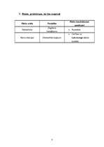 Biznesa plāns 'Pasākums 100.vidusskolā', 9.