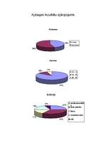 Biznesa plāns 'Pasākums 100.vidusskolā', 12.