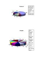 Biznesa plāns 'Pasākums 100.vidusskolā', 13.