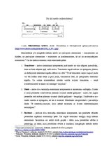 Referāts 'Kā izgatavo mikroshēmas', 4.