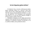 Referāts 'Vaira Vīķe - Freiberga', 8.