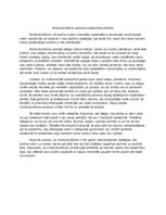 Eseja 'Multikulturālisms apdraud sabiedrības attīstību', 1.