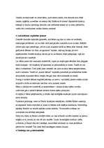 Eseja 'Pedagoģiskās saskarsmes situācijas analīze', 2.