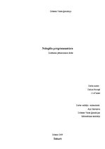 Referāts 'Nelegāla programmatūra', 1.