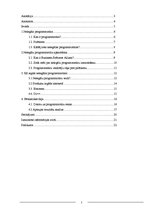 Referāts 'Nelegāla programmatūra', 2.