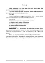 Referāts 'Nelegāla programmatūra', 3.