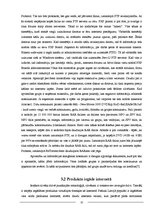 Referāts 'Nelegāla programmatūra', 13.