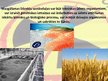 Prezentācija 'Mazgāšanas līdzekļu veidi un to ietekme uz dabu', 5.