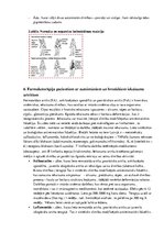 Referāts 'Imunitāte. Imunitāti stiprinošas zāles', 6.