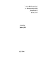 Referāts 'Rokenrols', 1.