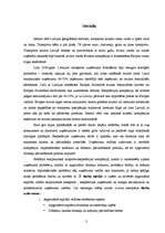 Referāts 'Apgrozāmā kapitāla vadība starptautiskā transporta - ekspedīcijas uzņēmumā', 3.