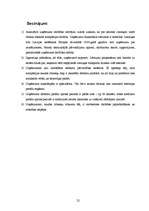 Referāts 'Apgrozāmā kapitāla vadība starptautiskā transporta - ekspedīcijas uzņēmumā', 22.