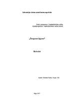 Referāts 'Šengenas līgums', 1.