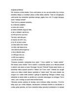 Referāts 'Viduslaiku hronikas', 2.