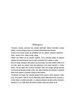 Referāts 'Viduslaiku hronikas', 7.