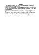 Diplomdarbs 'Анализ деятельности ООО "Z un PML” и совершенствование управления предприятием', 8.