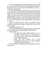 Referāts 'Fizisko personu nodokļu maksājumi Latvijā', 19.