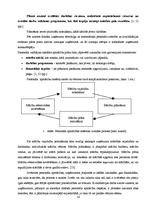 Referāts 'Apmācības procesa pilnveide SIA "X"', 14.
