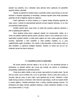 Referāts 'Apmācības procesa pilnveide SIA "X"', 20.