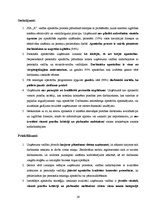 Referāts 'Apmācības procesa pilnveide SIA "X"', 29.