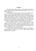 Referāts 'Apmācības procesa pilnveide SIA "X"', 31.