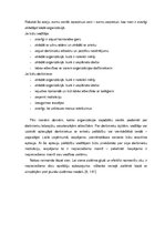 Referāts 'Organizācija, kurā es gribētu strādāt', 7.