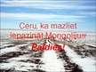 Prezentācija 'Mongolija', 40.