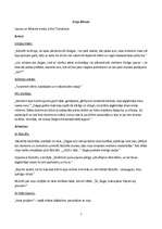 Referāts 'Zaiga Regīnas Ezeras romānā "Aka"', 1.