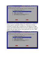 Paraugs 'Maģistrāles topoloģija', 21.