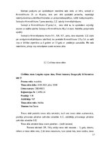 Prakses atskaite 'Profesionālās prakses atskaite', 17.