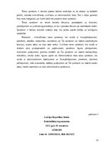 Prakses atskaite 'Profesionālās prakses atskaite', 19.