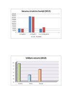 Prezentācija 'Somija', 3.