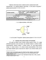 Prakses atskaite 'SIA "Ernst & YToung Baltic"', 7.