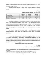 Prakses atskaite 'SIA "Ernst & YToung Baltic"', 14.