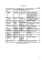 Referāts 'Ekonomiskā reklāma', 18.