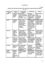 Referāts 'Ekonomiskā reklāma', 20.