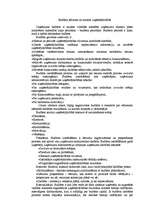 Referāts 'Budžets un tā plānošana', 2.