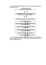 Referāts 'Budžets un tā plānošana', 4.