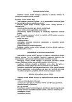 Referāts 'Budžets un tā plānošana', 7.