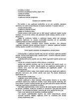 Referāts 'Budžets un tā plānošana', 8.