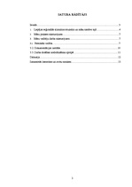 Referāts 'Prakse māsu darba vadīšanā', 2.