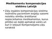Prezentācija 'Veselības aprūpes politika Latvijā un Eiropā', 28.