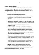 Referāts 'Mārketinga komunikācijas', 6.