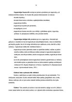 Referāts 'Mārketinga komunikācijas', 14.