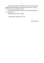 Referāts 'Mārketinga komunikācijas', 19.