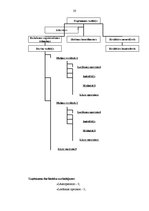 Referāts 'Mārketinga komunikācijas', 20.