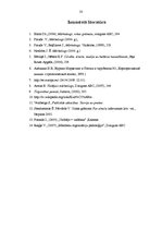 Referāts 'Mārketinga komunikācijas', 33.