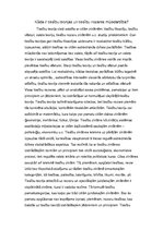 Eseja 'Tiesību teorijas un tiesību nozares mijiedarbība. Taisnīgums tiesībās', 1.